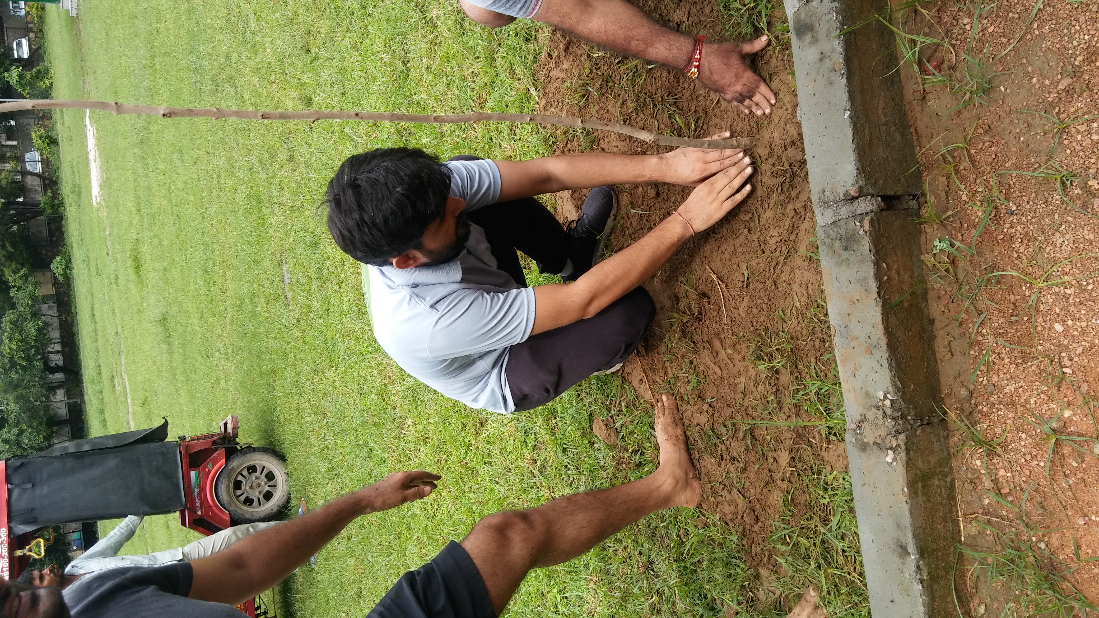 Plantation
