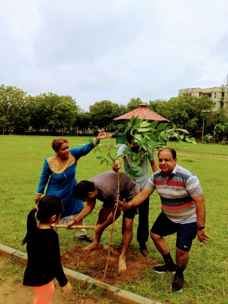 Plantation