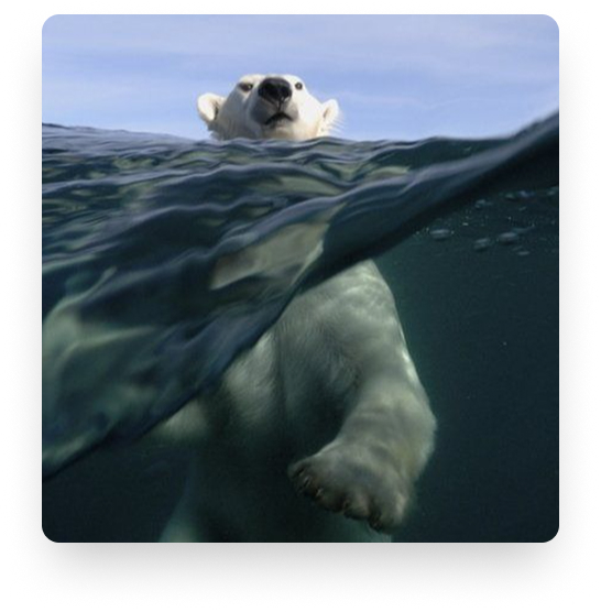 Featured blog